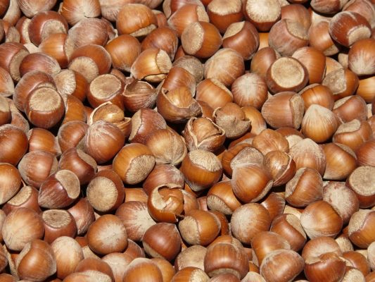 Complete Guide to Hazelnut Fertilization Tips for Healthy Trees and Abundant Harvests