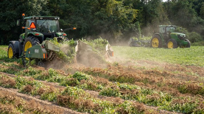 Revolutionizing Agriculture The Indispensable Role of Tractors