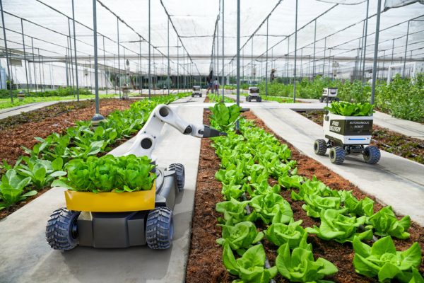 Agricultural Robots - Enhancing Efficiency in Modern Farming