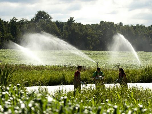 Agricultural Wastewater Treatment: Balancing Farming and Environmental Responsibility