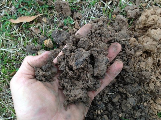 Alkaline Soils: Characteristics, Challenges, and Solutions