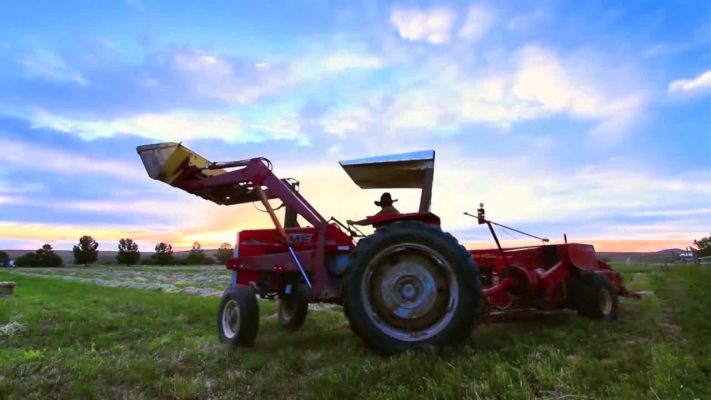 Millat Tractors: Cultivating Pakistan's Agriculture