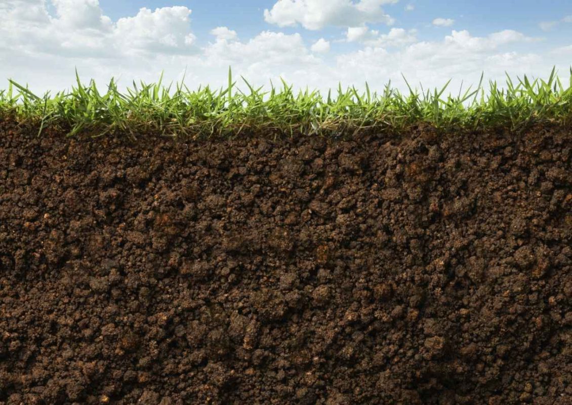 Optimizing Soil pH: Methods and Materials for Lowering pH Levels