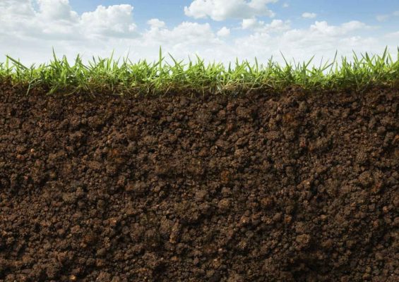 Optimizing Soil pH: Methods and Materials for Lowering pH Levels