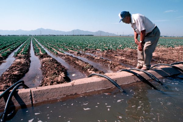 The Far-Reaching Environmental Impact of Agricultural Irrigation