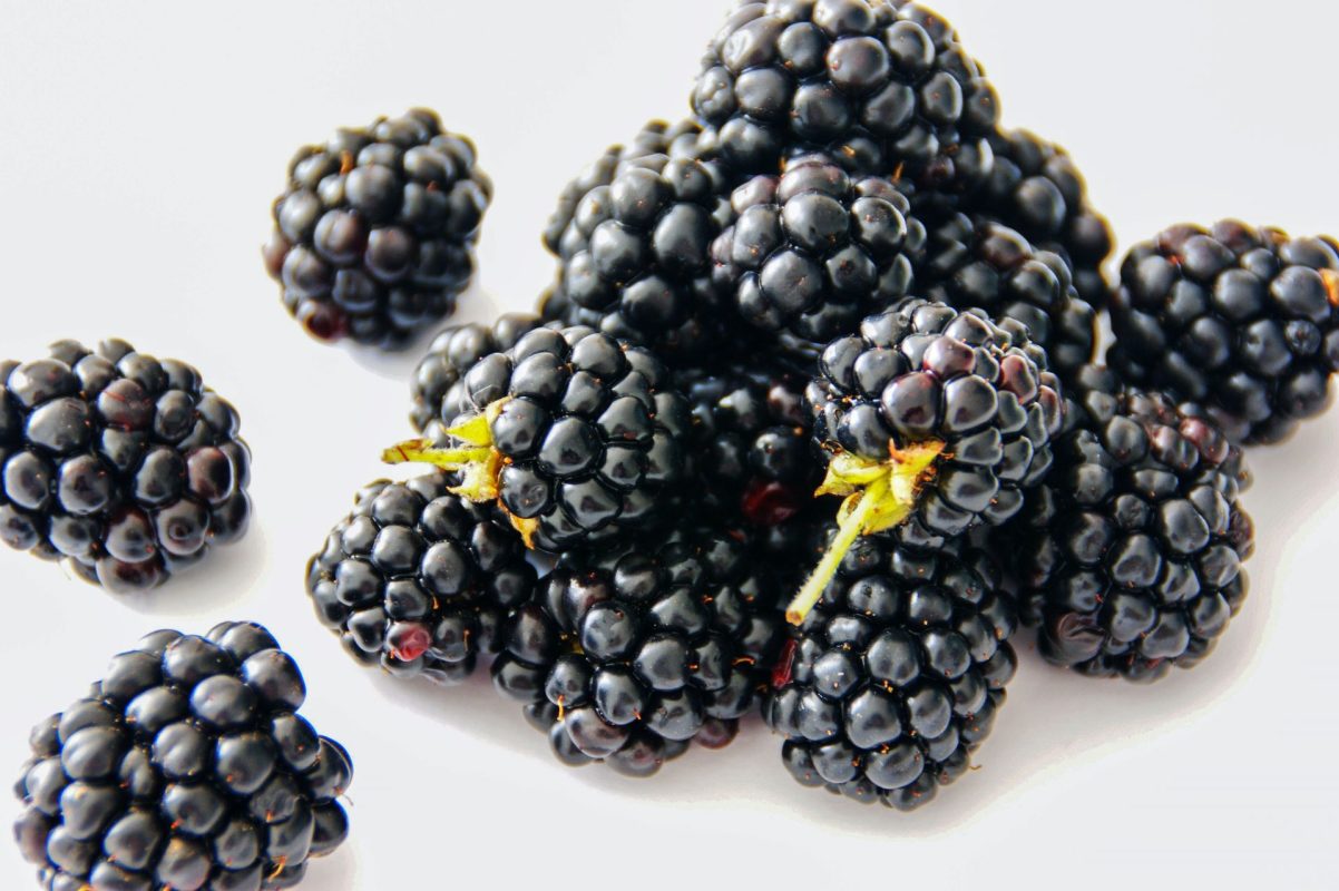 Blackberry Cultivation A Comprehensive Guide to Growing and Harvesting Blackberries