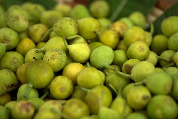 Exploring the Delightful World of Figs A Guide to Nature's Sweet Bounty