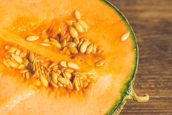 Mastering the Art of Cantaloupe Cultivation A Comprehensive Guide to Year-Round Success