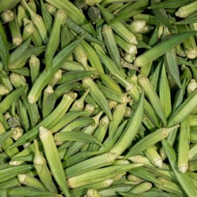 Cultivation of Okra A Comprehensive Guide