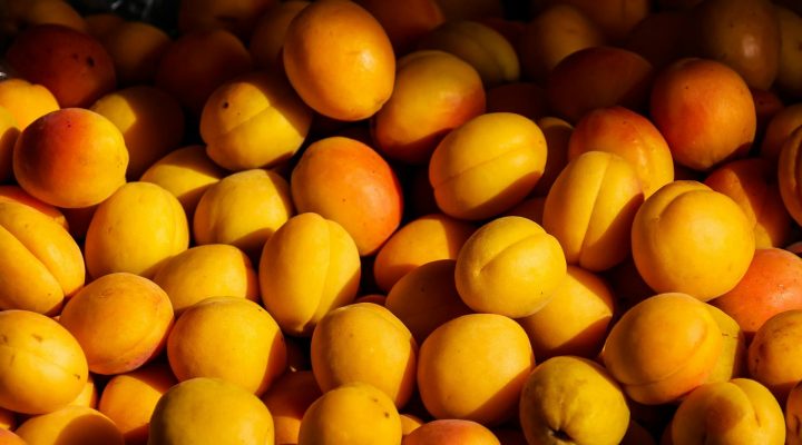 Growing Apricots at the Allotment A Detailed Guide