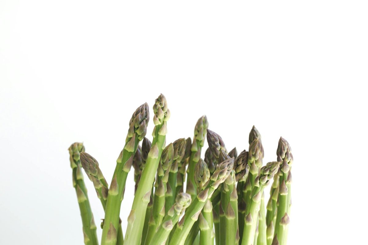 Growing Asparagus at the Allotment A Detailed Guide