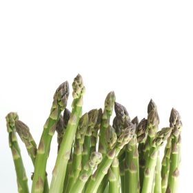 Growing Asparagus at the Allotment A Detailed Guide