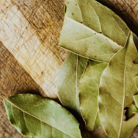 Growing Bay Leaf at the Allotment A Detailed Guide