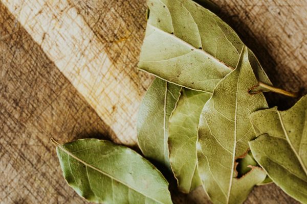 Growing Bay Leaf at the Allotment A Detailed Guide